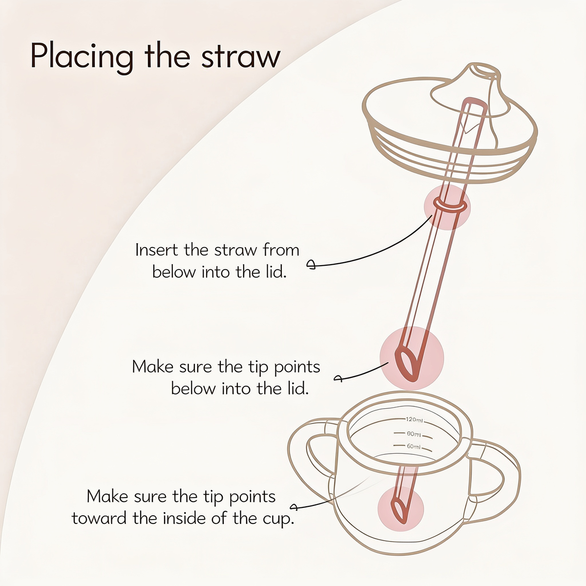 Placing the straw. Insert the straw from below into the lid.. Make sure the tip points toward the inside of the cup.