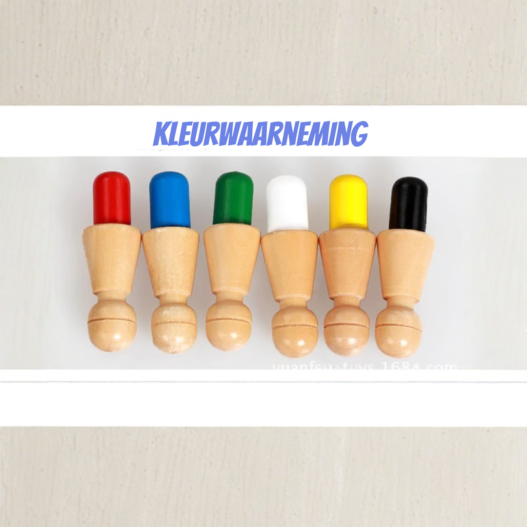 Memory Match Schaakspel - Houten Kleuren Geheugenschaak