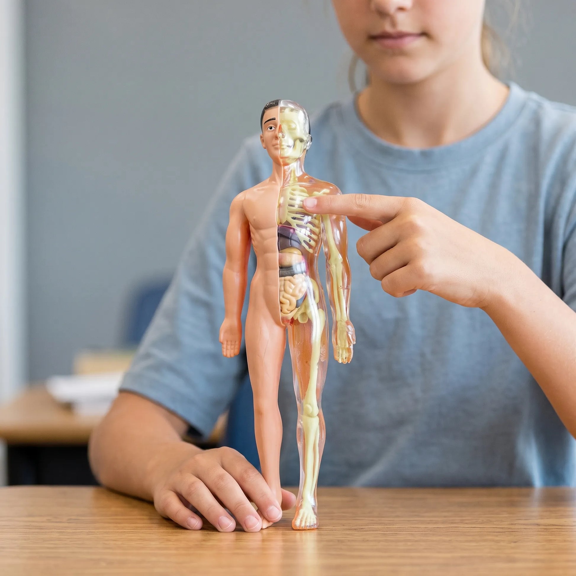 Anatomie Model Kinderen | Menselijk Lichaam Speelset | Educatief Speelgoed