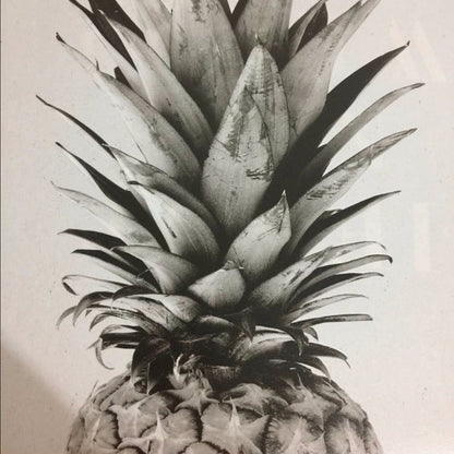 Canvas Schilderij Ananas | Wanddecoratie met Quote | Kinderkamer en Woonkamer