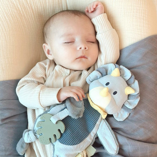 Dinosnuffeldoekje voor baby’s-MiniBea