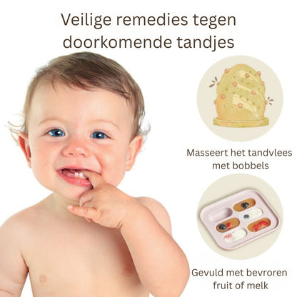 Fruitzuiger voor baby’s – 2-pack-MiniBea