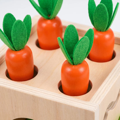 Montessori Houten Speelset – Sensorische Activiteitskubus Voor Peuters