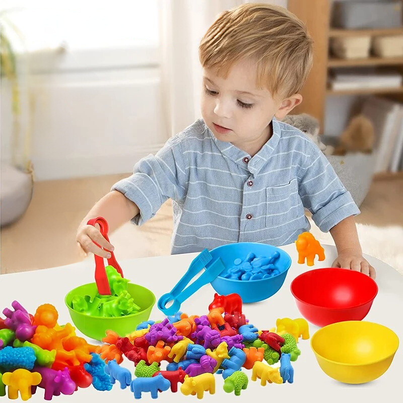 Sorteerspel Kinderen | Montessori Speelgoed voor Kleuren en Fijne Motoriek | Vanaf 3 Jaar