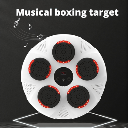 Musical boxing target