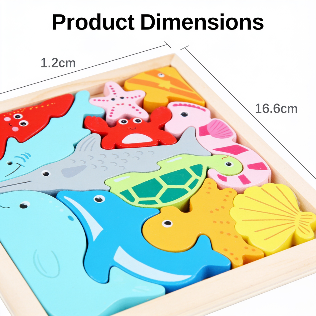 Product Dimensions. 1.2cm. 16.6cm. 16.6cm