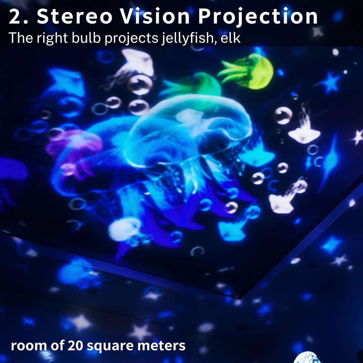 2. Stereo Vision Projection. The right bulb projects jellyfish, elk. room of 20 square meters